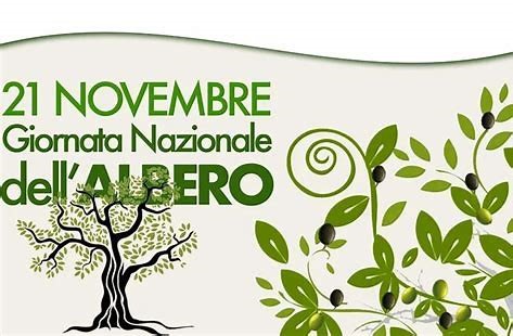 ALBERO